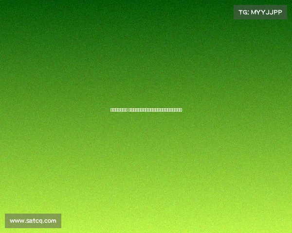 女子公路车赛事 女子公路车赛事巾帼绽放速度与激情征途梦想飞扬